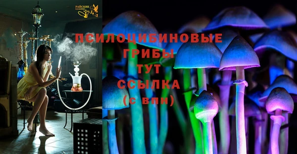 молекула духа Лиски