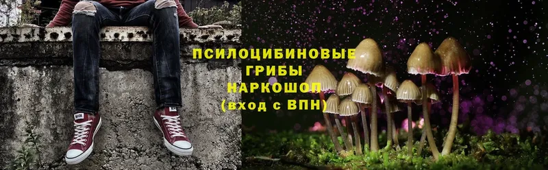 наркотики  Пермь  Псилоцибиновые грибы Magic Shrooms 