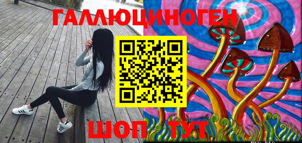 Галлюциногенные грибы Psilocybine cubensis  Вход с VPN  наркота  Пермь  Псилоцибиновые грибы мицелий 