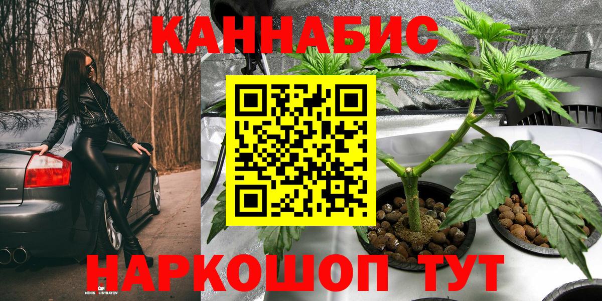 Шишки марихуана семена  Вход с VPN  Марихуана White Widow  Пермь  МАРИХУАНА White Widow  МАРИХУАНА Amnesia 